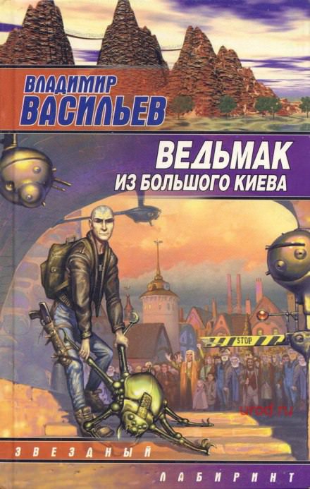Ведьмак из Большого Киева - Владимир Васильев - Библиотека аудиокниг