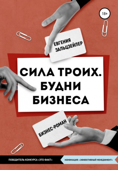 Сила троих. Будни бизнеса - Евгения Зальцзейлер - Библиотека аудиокниг