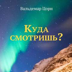 Куда смотришь? - Вальдемар Цорн - Библиотека аудиокниг