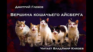 Вершина кошачьего айсберга - Дмитрий Глебов - Библиотека аудиокниг