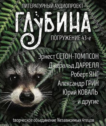 ГЛУБИНА. Погружение 43-е - Библиотека аудиокниг