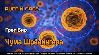 Чума Шрёдингера - Грег Бир - Библиотека аудиокниг