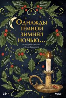 Однажды темной зимней ночью... (Сборник) - Библиотека аудиокниг