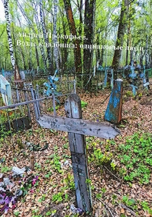 Возле кладбища: одинаковые люди - Андрей Прокофьев - Библиотека аудиокниг