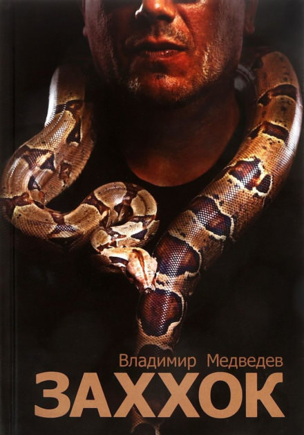 Заххок - Владимир Медведев - Библиотека аудиокниг