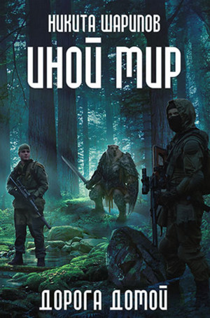 Иной мир. Дорога домой - Никита Шарипов (5) - Библиотека аудиокниг