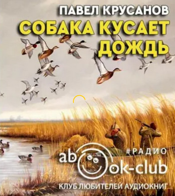 Собака кусает дождь - Павел Крусанов - Библиотека аудиокниг