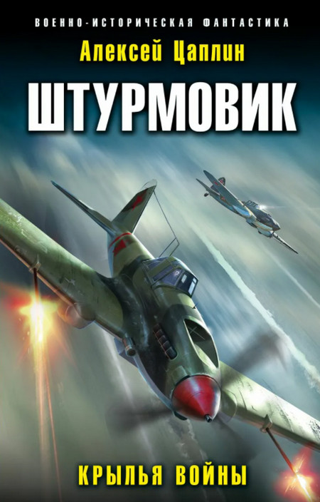 Штурмовик. Крылья войны - Алексей Цаплин (книга 1) - Библиотека аудиокниг