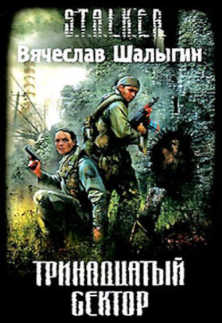 Тринадцатый сектор - Вячеслав Шалыгин - Библиотека аудиокниг