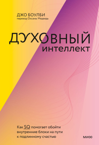 Духовный интеллект. Как SQ помогает обойти внутренние блоки на пути к подлинному счастью - Джо Боулби - Библиотека аудиокниг