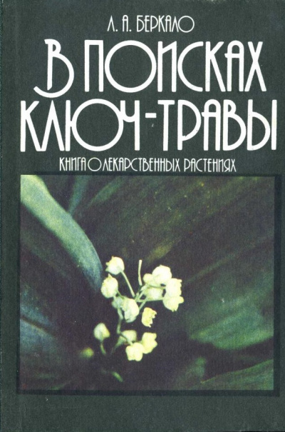 В поисках ключ-травы - Людмила Беркало - Библиотека аудиокниг