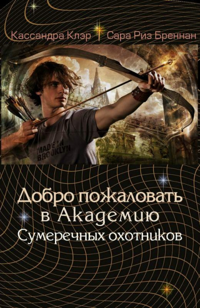 Академия Сумеречных охотников - Клэр Кассандра, Риз Сара, Джонсон Морин, Вассерман Робин - Библиотека аудиокниг