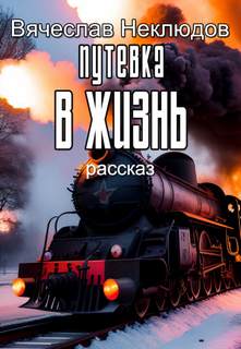 Путевка в жизнь - Вячеслав Неклюдов - Библиотека аудиокниг