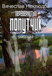 Перевернутый попутчик - Вячеслав Неклюдов - Библиотека аудиокниг