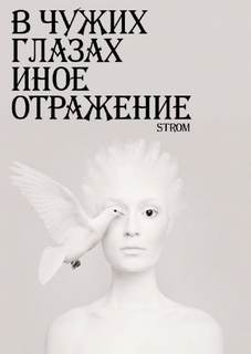 В чужих глазах иное отражение - Станислав Романов - Библиотека аудиокниг