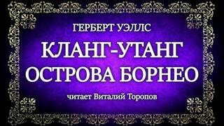 Кланг-утанг острова Борнео - Герберт Уэллс - Библиотека аудиокниг