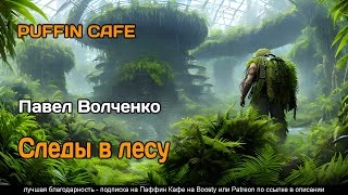 Следы в лесу - Павел Волченко » - Библиотека аудиокниг