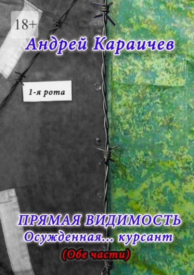 Прямая видимость - Андрей Караичев » - Библиотека аудиокниг