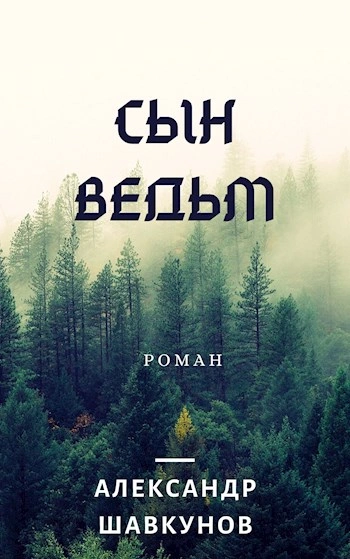 Последствия. Сын Ведьм - Александр Шавкунов » - Библиотека аудиокниг