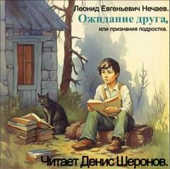 Ожидание друга, или признания подростка - Леонид Нечаев » - Библиотека аудиокниг