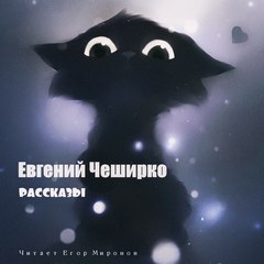 Рассказы - Евгений ЧеширКо - Библиотека аудиокниг
