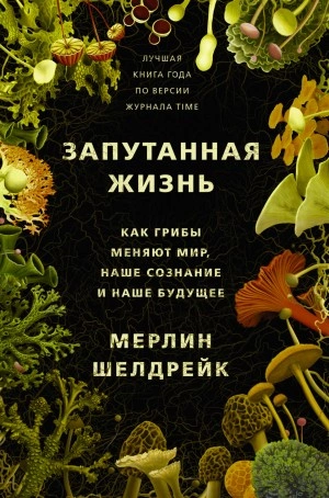 Запутанная жизнь. Как грибы меняют мир, наше сознание и наше будущее - Мерлин Шелдрейк - Библиотека аудиокниг
