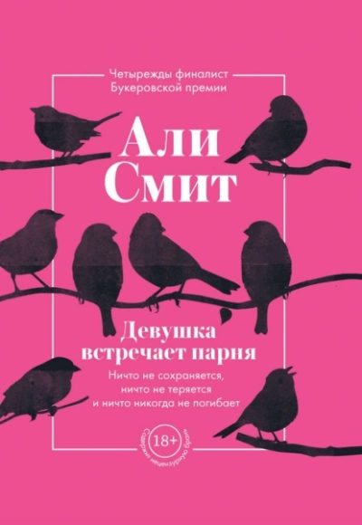 Девушка встречает парня - Али Смит - Библиотека аудиокниг
