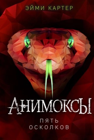Пять Осколков - Эйми Картер - Библиотека аудиокниг