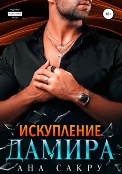 Искупление Дамира - Ана Сакру - Библиотека аудиокниг