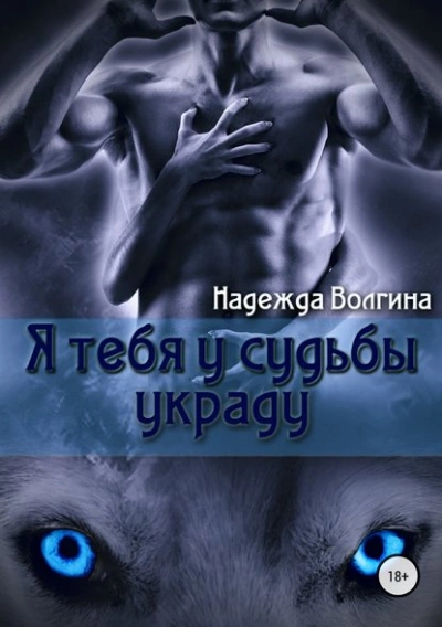 Я тебя у судьбы украду - Надежда Волгина - Библиотека аудиокниг