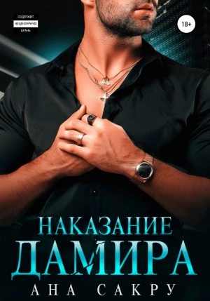 Наказание Дамира - Ана Сакру - Библиотека аудиокниг
