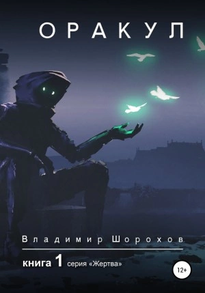 Оракул. Книга 1 - Владимир Шорохов - Библиотека аудиокниг