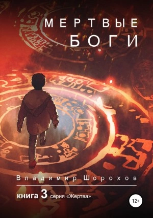 Мертвые боги. Книга 3 - Владимир Шорохов - Библиотека аудиокниг