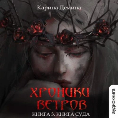 Книга суда - Карина Демина - Библиотека аудиокниг