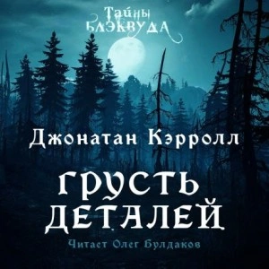 Грусть деталей - Джонатан Кэрролл - Библиотека аудиокниг