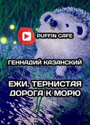 Ежи. Тернистая дорога к морю - Геннадий Казанский - Библиотека аудиокниг