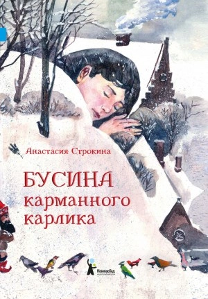 Бусина карманного карлика - Анастасия Строкина - Библиотека аудиокниг