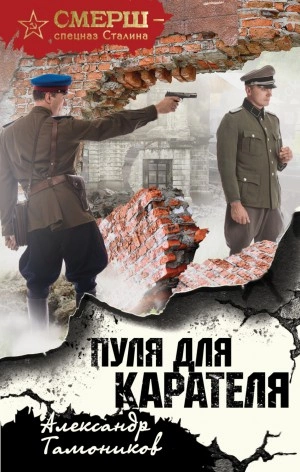 Пуля для карателя - Александр Тамоников - Библиотека аудиокниг