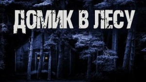 Домик в лесу - Валентина Сенчукова - Библиотека аудиокниг