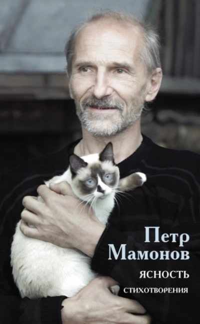 Ясность - Мамонов Петр - Библиотека аудиокниг