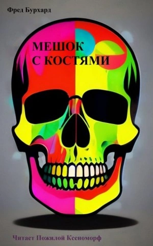 Мешок с костями - Фред Бурхард - Библиотека аудиокниг