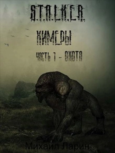 S.T.A.L.K.E.R. Охота - Михаил Ларин - Библиотека аудиокниг