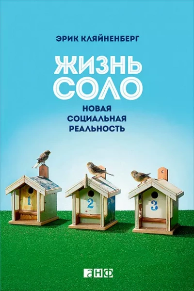 Жизнь соло. Новая социальная реальность - Эрик Кляйненберг - Библиотека аудиокниг