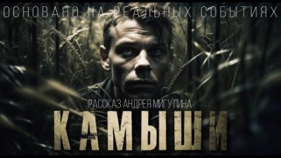Камыши - Андрей Мигулин - Библиотека аудиокниг
