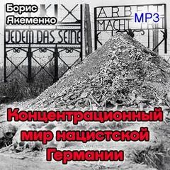 Курс лекций "Концентрационный мир нацистской Германии" - Борис Якеменко - Библиотека аудиокниг