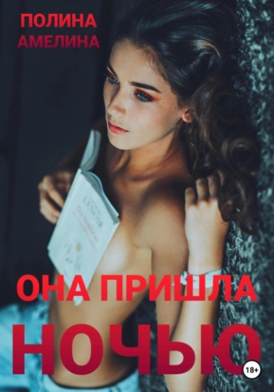 Она пришла ночью - Полина Амелина - Библиотека аудиокниг