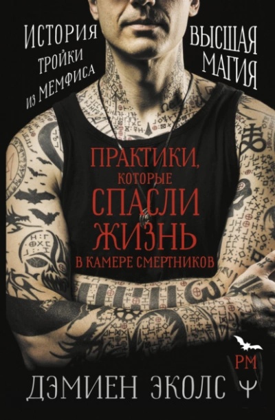 Практики, которые спасли жизнь в камере смертников. Высшая магия. История тройки из Мемфиса - Дэмиен Эколс - Библиотека аудиокниг