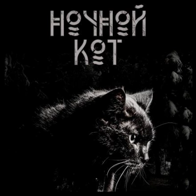 Ночной кот - Сергей Стэн - Библиотека аудиокниг