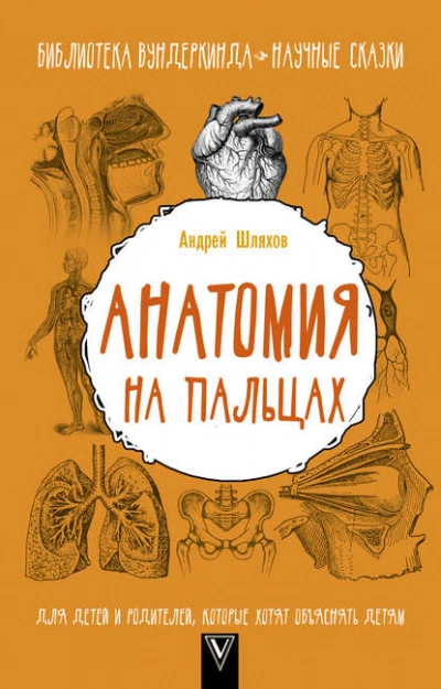 Анатомия на пальцах. Для детей и родителей, которые хотят объяснять детям - Андрей Шляхов - Библиотека аудиокниг