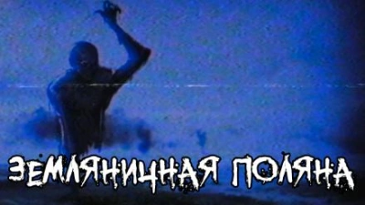Земляничная поляна - FrFr - Библиотека аудиокниг